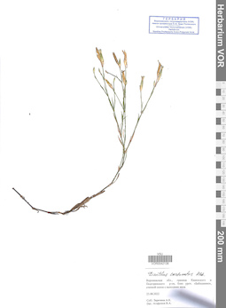 VOR 0042138