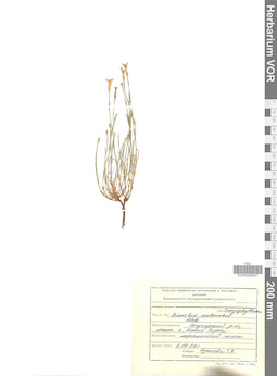 VOR 0008341