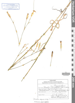 VOR 0008609