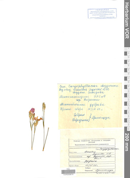 VOR 0008619