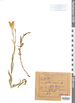 VOR 0008361