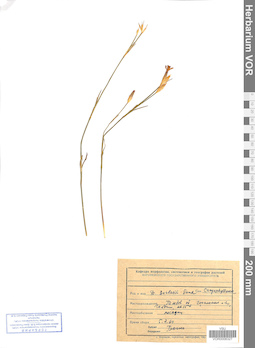 VOR 0008327