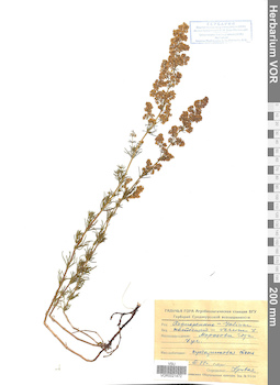 VOR 0021472