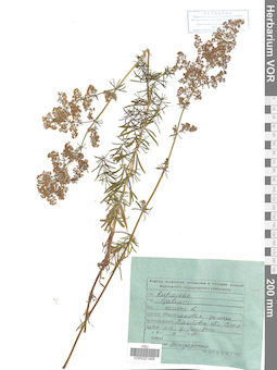 VOR 0021468