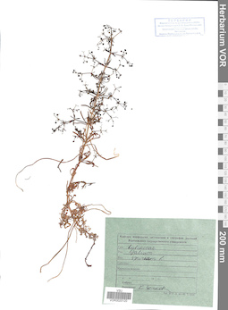 VOR 0020120