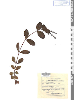 VOR 0014150