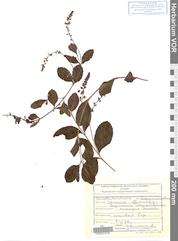 VOR 0014134