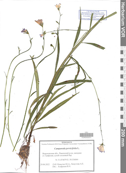 VOR 0042031