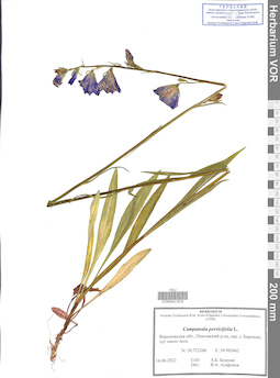 VOR 0041918