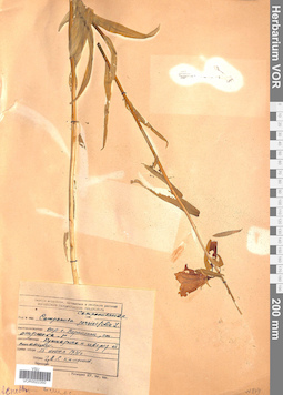 VOR 0022350