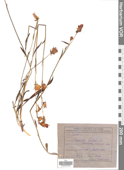 VOR 0022332
