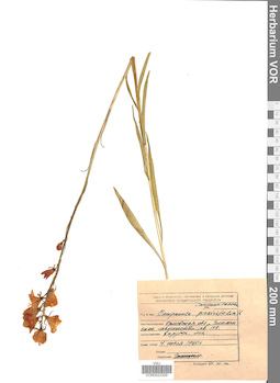 VOR 0022329
