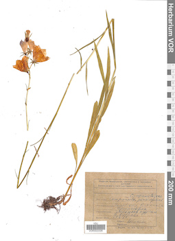 VOR 0022326