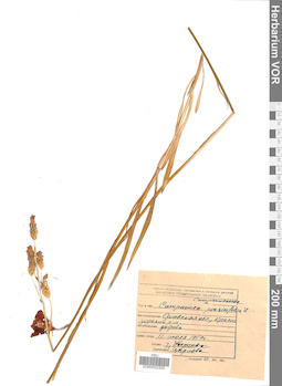 VOR 0022325