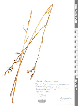 VOR 0022318