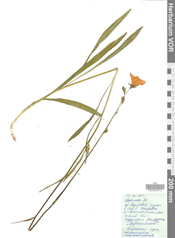 VOR 0022315