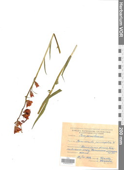 VOR 0022310