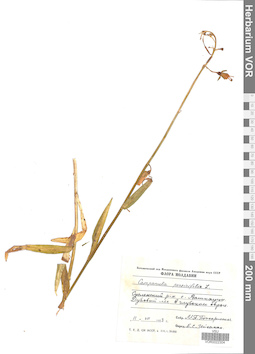 VOR 0022304