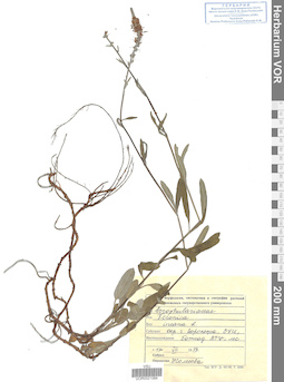 VOR 0021084