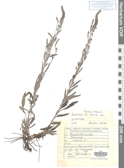 VOR 0021051