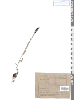 VOR 0021047