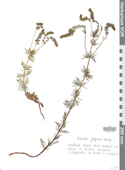 VOR 0021058