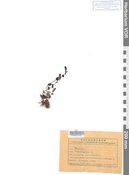 VOR 0012432