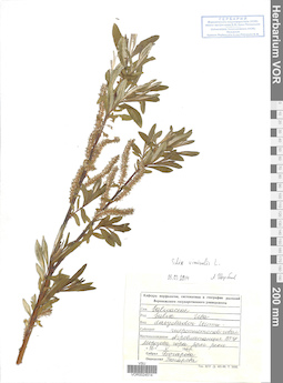 VOR 0024514