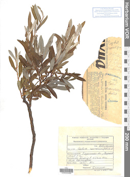 VOR 0024480