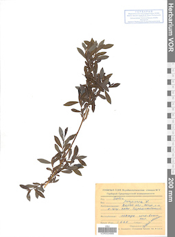 VOR 0024866