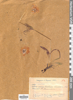 VOR 0021930