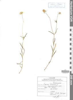 VOR 0022174