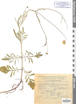VOR 0022173
