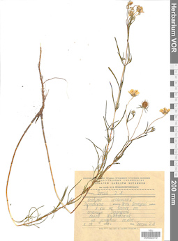 VOR 0022172