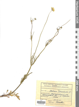 VOR 0022496