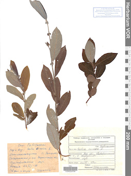 VOR 0024794