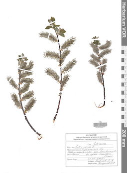 VOR 0024777