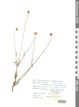 VOR 0022493
