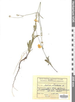 VOR 0022492