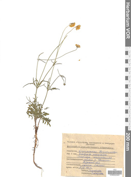 VOR 0022491