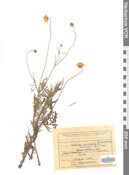 VOR 0021947