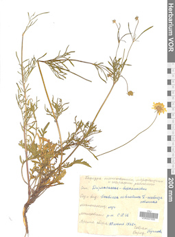 VOR 0021935