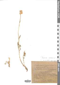 VOR 0022166