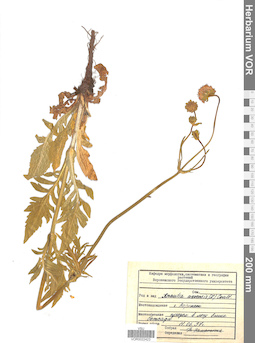 VOR 0022423