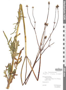 VOR 0022418