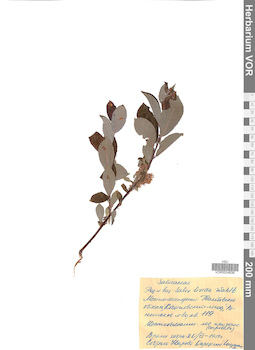 VOR 0024836