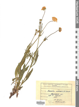 VOR 0021899