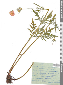 VOR 0021897