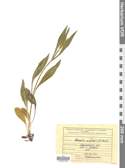 VOR 0021895