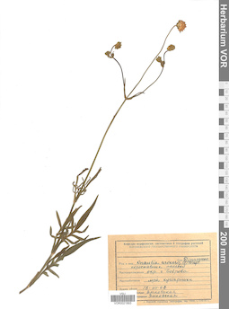 VOR 0021893